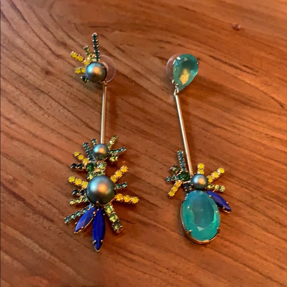 Elizabeth Cole Ashton earrings